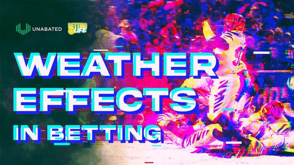 🌪️ Quarter. Back. Chaos.
